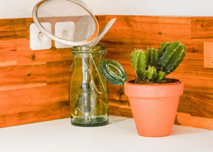 L'eclat De Stanislas 90m2 6p Apartment *